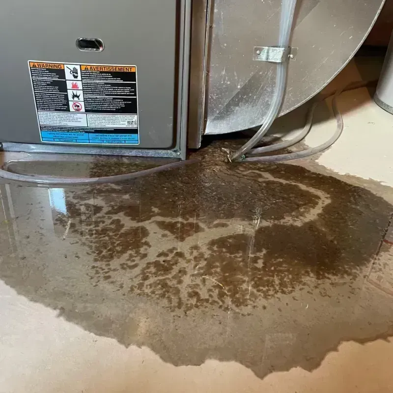 Appliance Leak Cleanup in Monroe County, MO